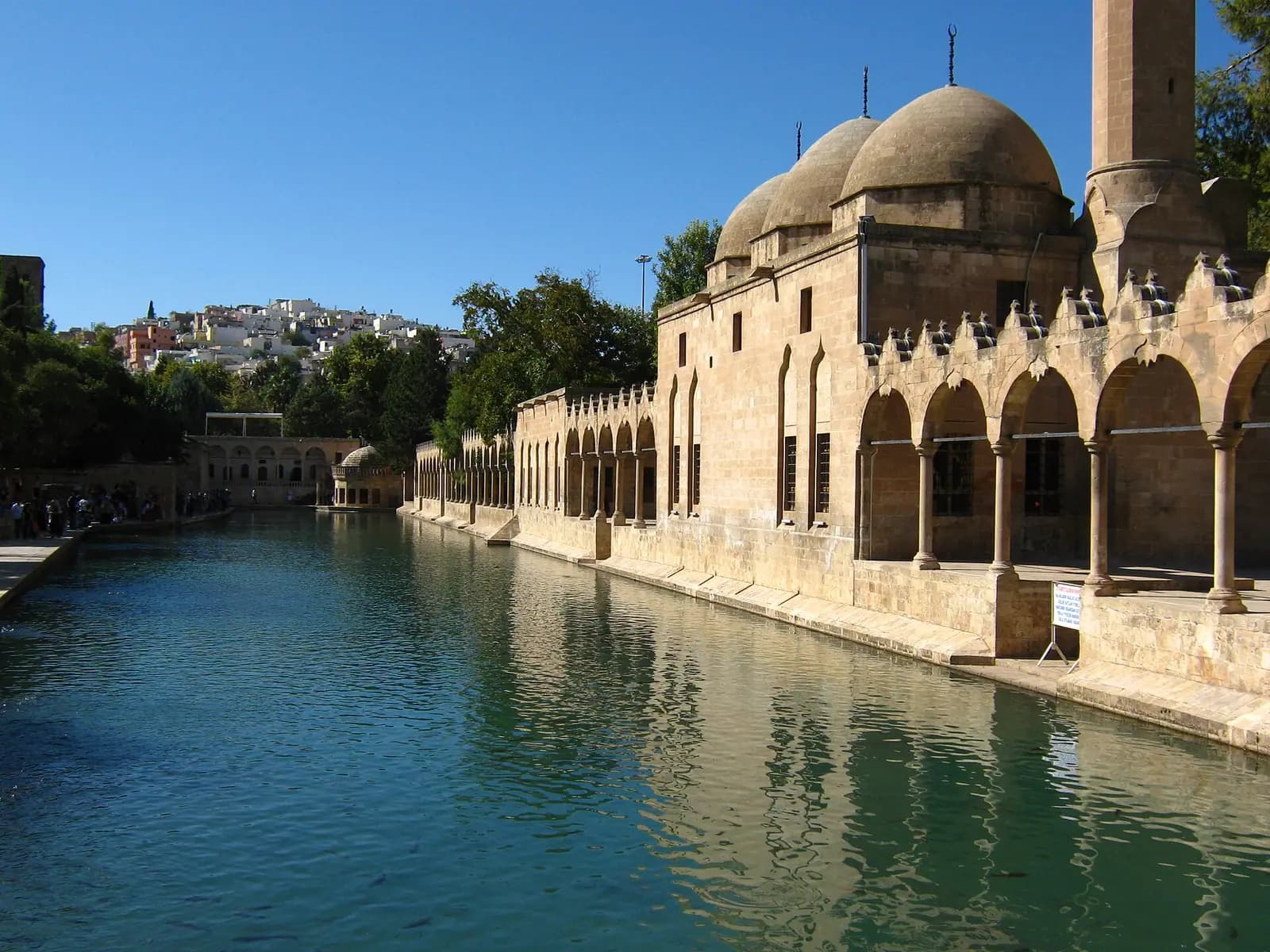 Balıklıgöl'ün yeşil suyu ve kıyısındaki revaklı medrese ile kubbeli cami